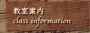 バイオリン教室案内